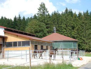 Pferdepension-Albhof_Unterkunft
